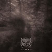 Afraid of Destiny - Agony