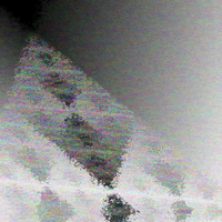 Fluttershade - mountain