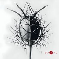 BAIKAL - BAIKAL