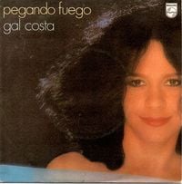 Gal Costa - Pegando Fuego