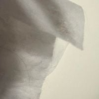 The 365 Project - 278: &Omega;