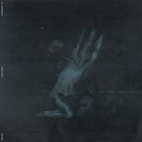 DIESECT - MIRROR IMAGE