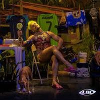 AQNO - Latino Brega Love