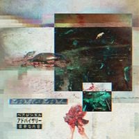 Teller Bank$ - The Wolf & The Walrus