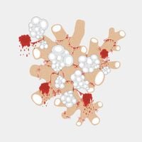 Saxon Shore - The Exquisite Death of Saxon Shore