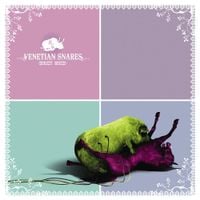 Venetian Snares - Horsey Noises