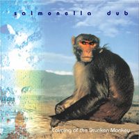 Salmonella Dub - Calming of the Drunken Monkey