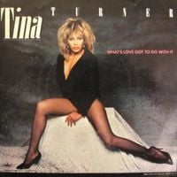 Tina Turner - What's Love Got to Do With It