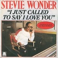 Stevie Wonder - I Just Called To Say I Love You