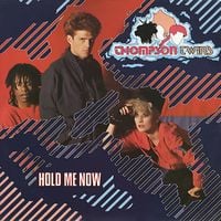 Thompson Twins - Hold Me Now