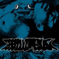 Phyllomedusa - The Sound The Head Made