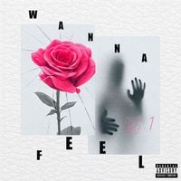 Lil Mabu - wanna feel