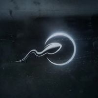Lifer - The Start Of Something Else