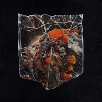 Shields - Wolfskin