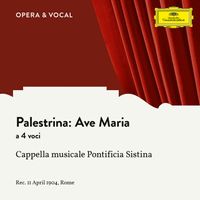 Cappella Musicale Pontificia Sistina / Massimo Palombella - Palestrina: Ave Maria a 4 voci