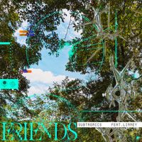 Subtronics - Friends
