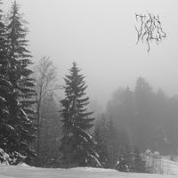Tanvald - Nemofilista