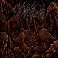 Vulnificus - Inclination
