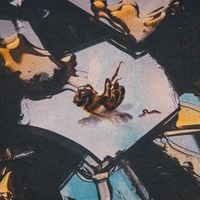 Stain The Canvas - Vultures