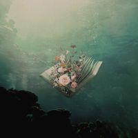Alina Baraz - Urban Flora: Lost Sequels