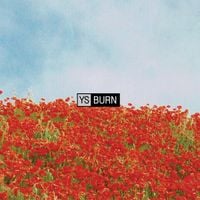YS - Burn
