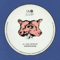 Anish Kumar - Yes, Honey?
