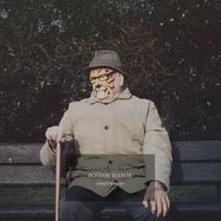 Boston Manor - Driftwood