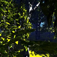 818181 - NATUREWAVE 2025
