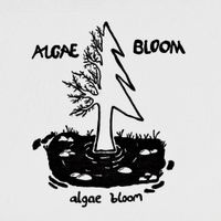 Algae Bloom - Algae Bloom