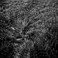 holsgr - tenebras_lux