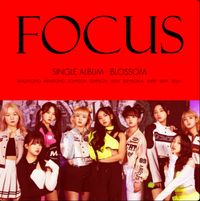Blossom - Focus