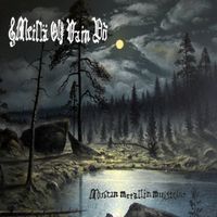 Meill&auml; Oli Vain Y&ouml; - Mustan Metallin Muistelot