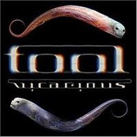TOOL - Vicarious