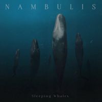 Nambulis - Sleeping Whales