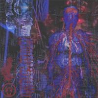 Calsutmoran - Thermal Visions