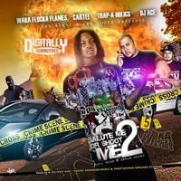 Waka Flocka Flame - Salute Me Or Shoot Me 2.5