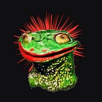 Phyllomedusa - Herpetology