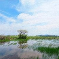 Jinuyang - 목가
