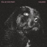 Kaleido - Čiji je ovo pas?