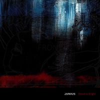 Junius - Blood Is Bright