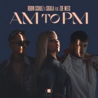 Robin Schulz - AM to PM
