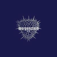 Morgenstern - Cold
