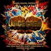 RZA - Bobby Digital Presents: Juice Crew