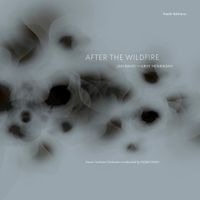 Jan Bang - After The Wildfire