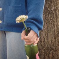 LIGHTERS - Lost in her flowers