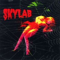 Rog&eacute;rio Skylab - Skylab