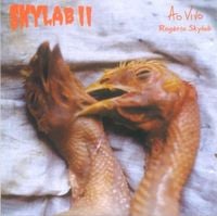 Rog&eacute;rio Skylab - Skylab II