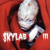Rog&eacute;rio Skylab - Skylab III