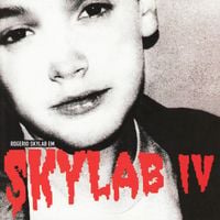 Rogério Skylab - Skylab IV