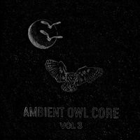 Kayla Painter - Ambient Owl Core (Vol 3)